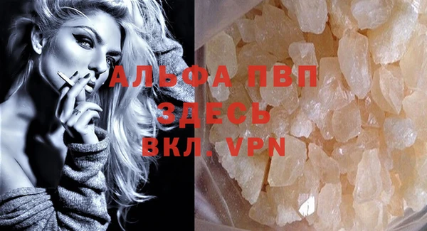 дживик Надым