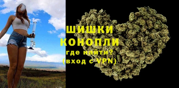 дживик Надым