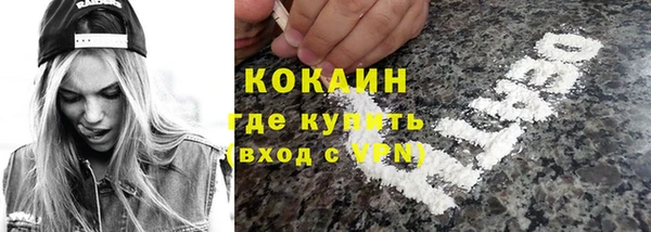 дживик Надым