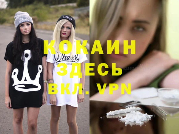 дживик Надым
