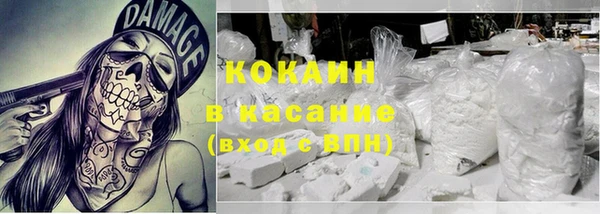 дживик Надым