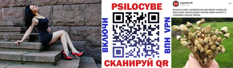 как найти закладки  Сасово  Галлюциногенные грибы Cubensis 